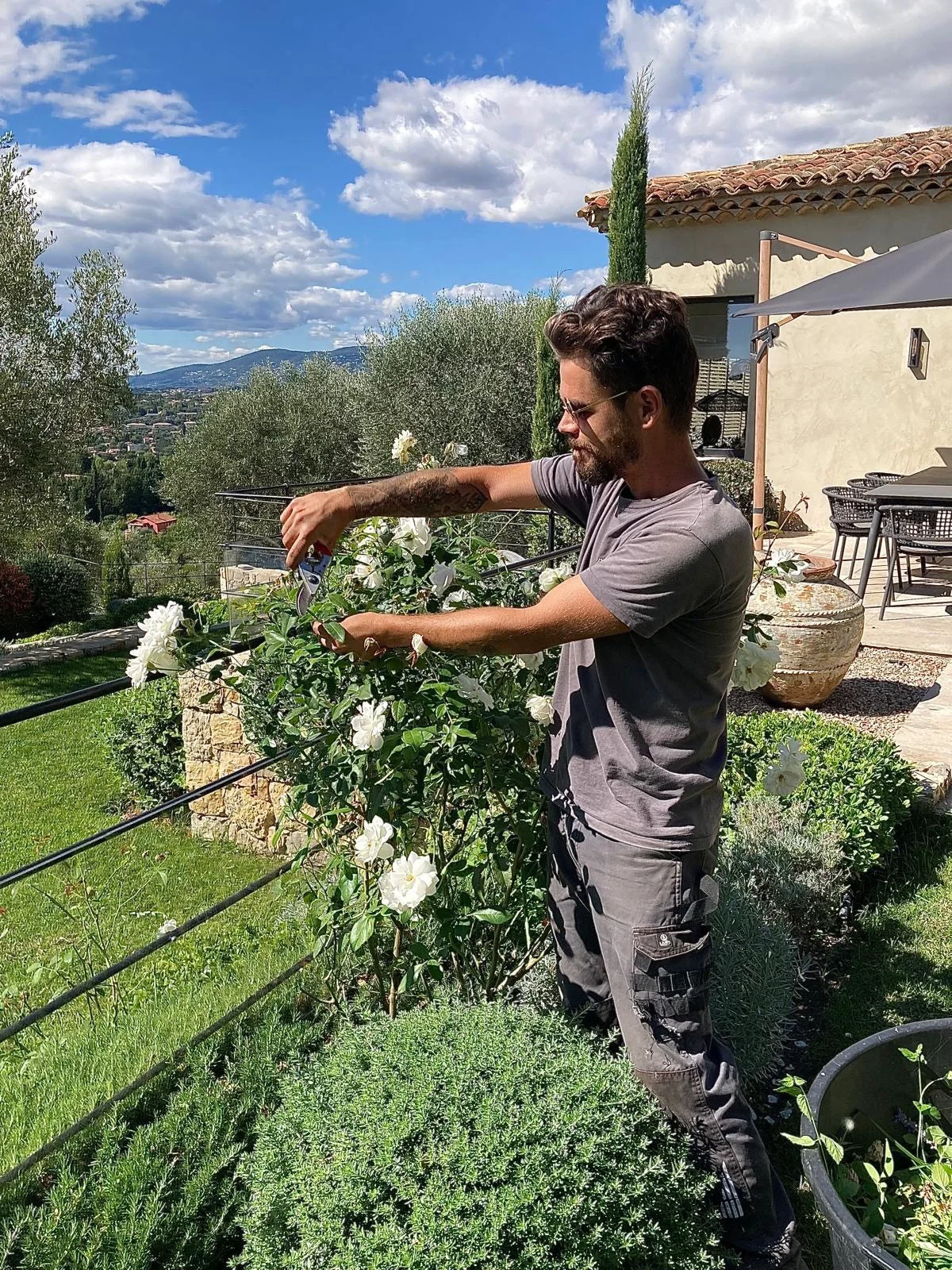 Personne entretenant des plantes fleuries dans un jardin ensoleillé avec un paysage vallonné en arrière-plan