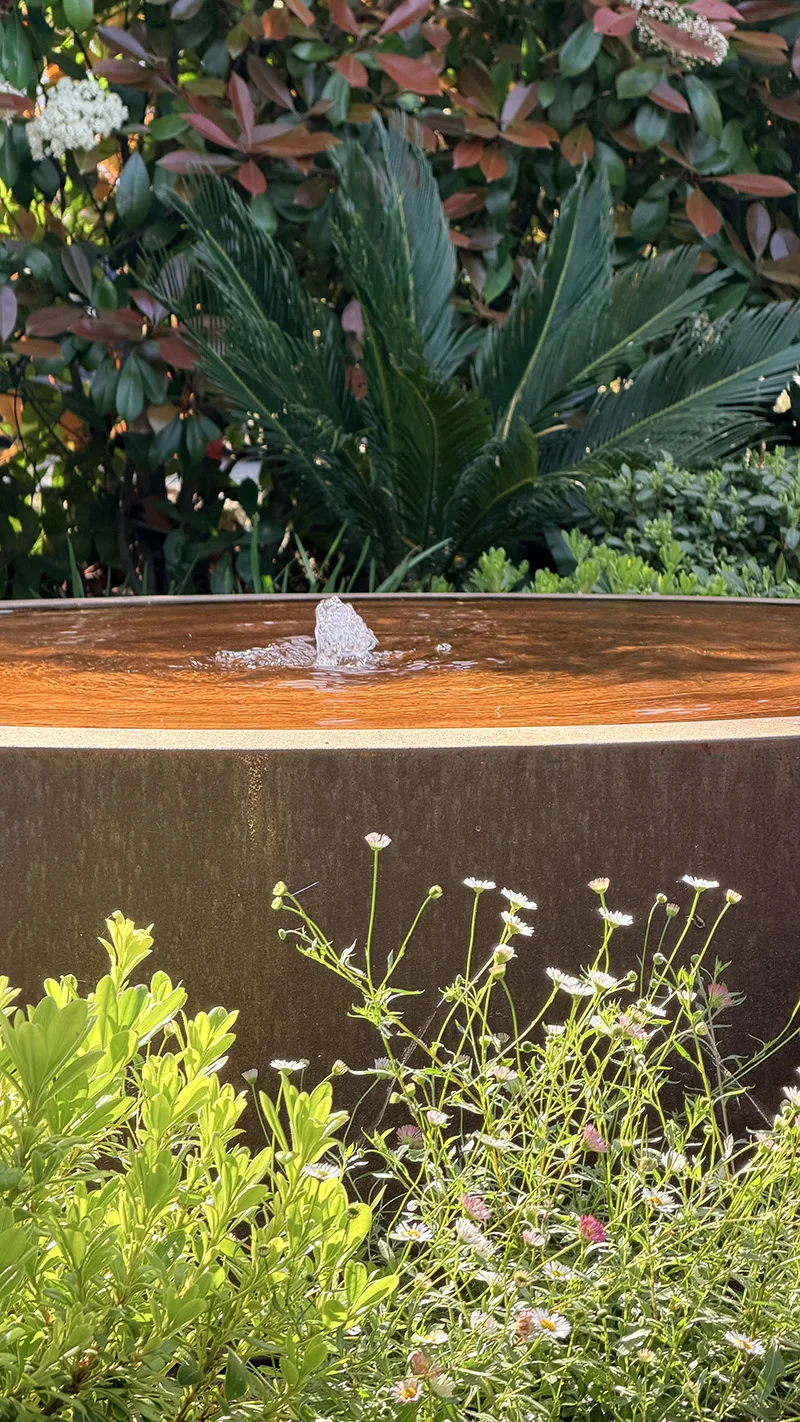 Fontaine extérieure rectangulaire entourée de plantes ornementales et de végétation dense