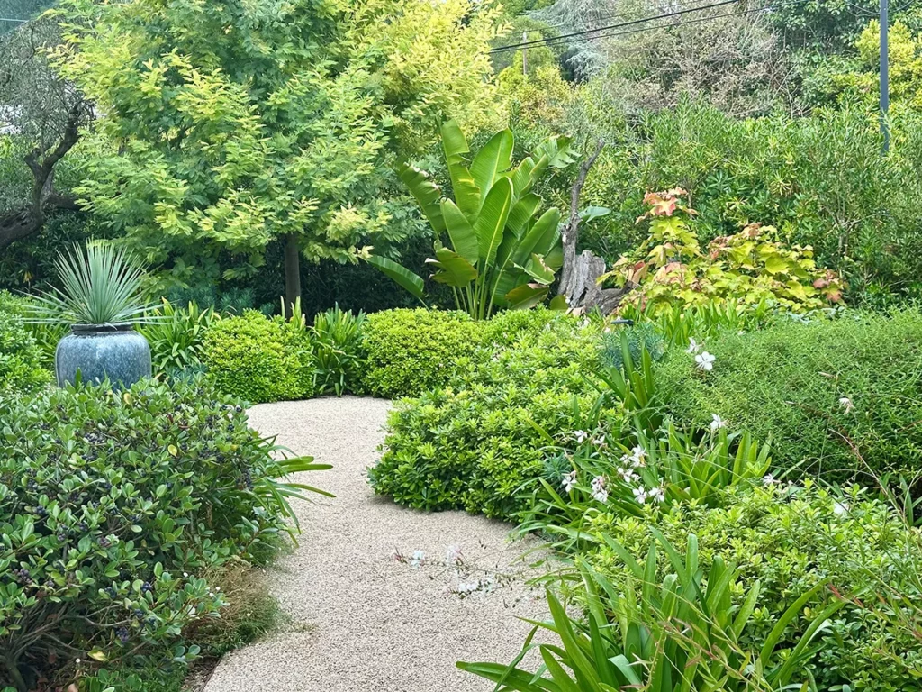 Jardin paysager avec chemin en gravier sinueux, arbustes, graminées et plantes fleuries