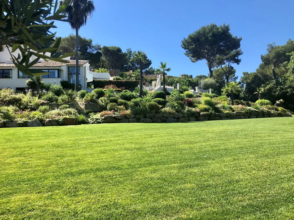 Pelouse entretenue devant une maison, avec massifs paysagers, arbustes et muret en pierre.
