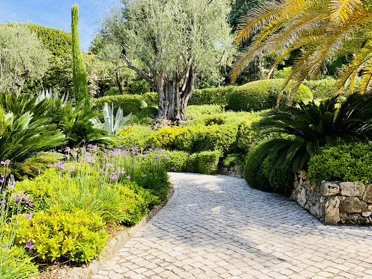 Chemin courbe en pavés dans un jardin luxuriant, bordé d’arbustes, de fleurs et d’un muret en pierre.