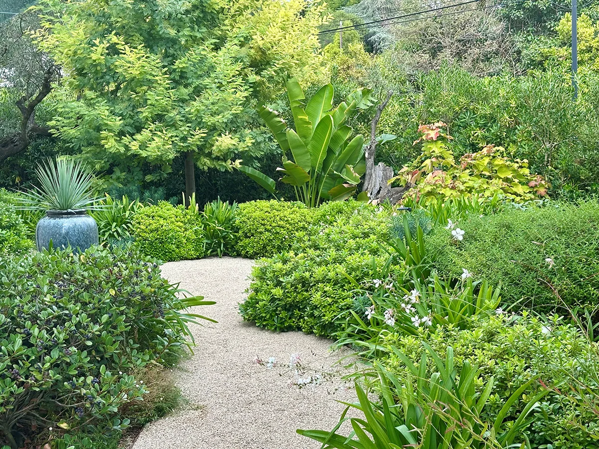 Sentier en gravier traversant un jardin paysagé avec arbustes, graminées et plantes fleuries
