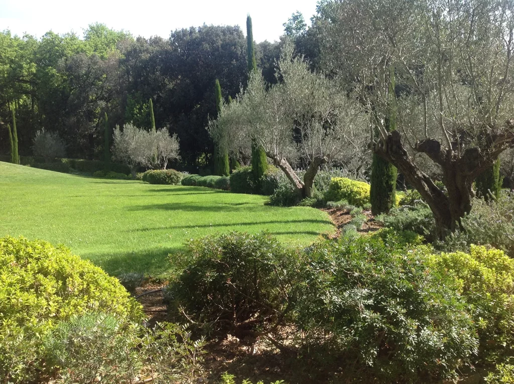 Pelouse entretenue dans un jardin paysager bordé d’arbres et d’arbustes.